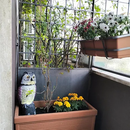 Apartment Urbino Uno Venezia Mestre